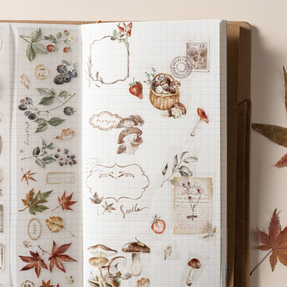 Hinoki - ‘Into the Fall’ Decorative PET Tape Set