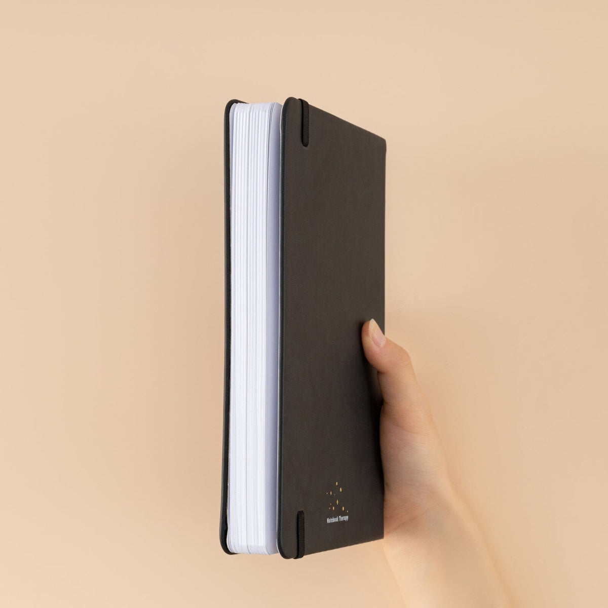 Tsuki ‘Playful Panda’ Limited Edition A5 Bullet Journal ☾