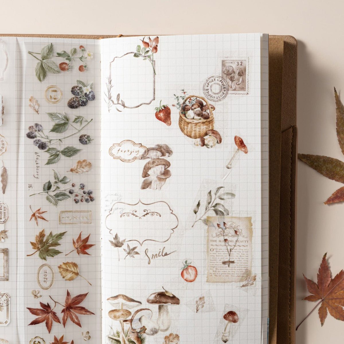 Hinoki - ‘Into the Fall’ Bundle #3 (exclusive)