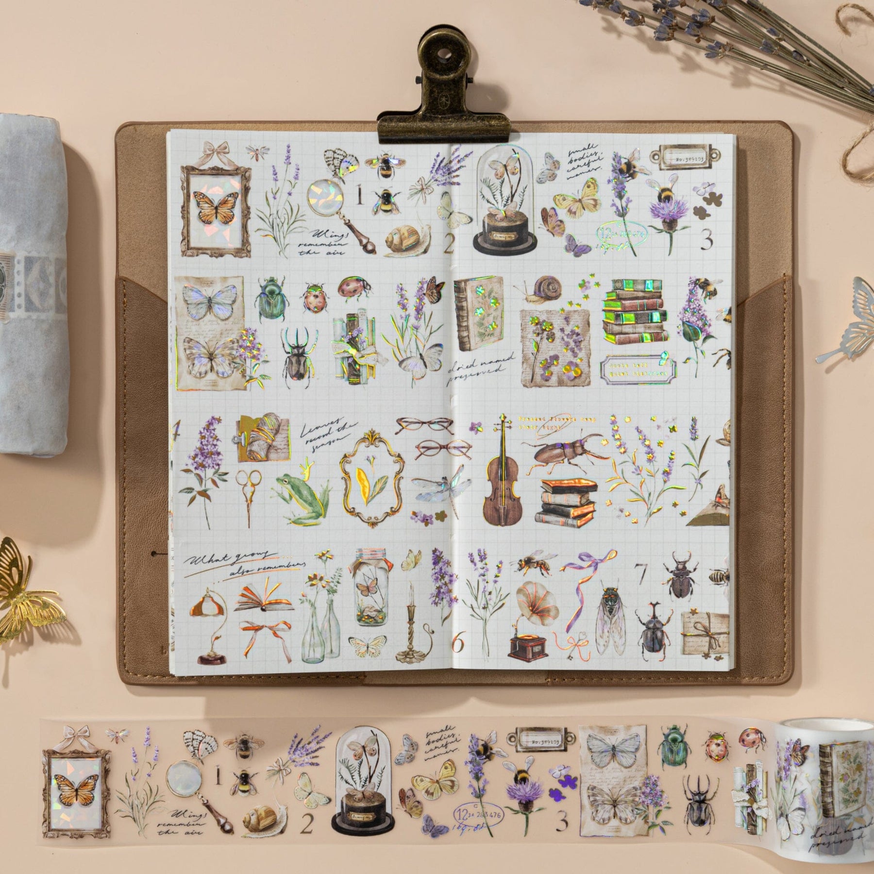 Hinoki ‘Into the Archive’ Bundle