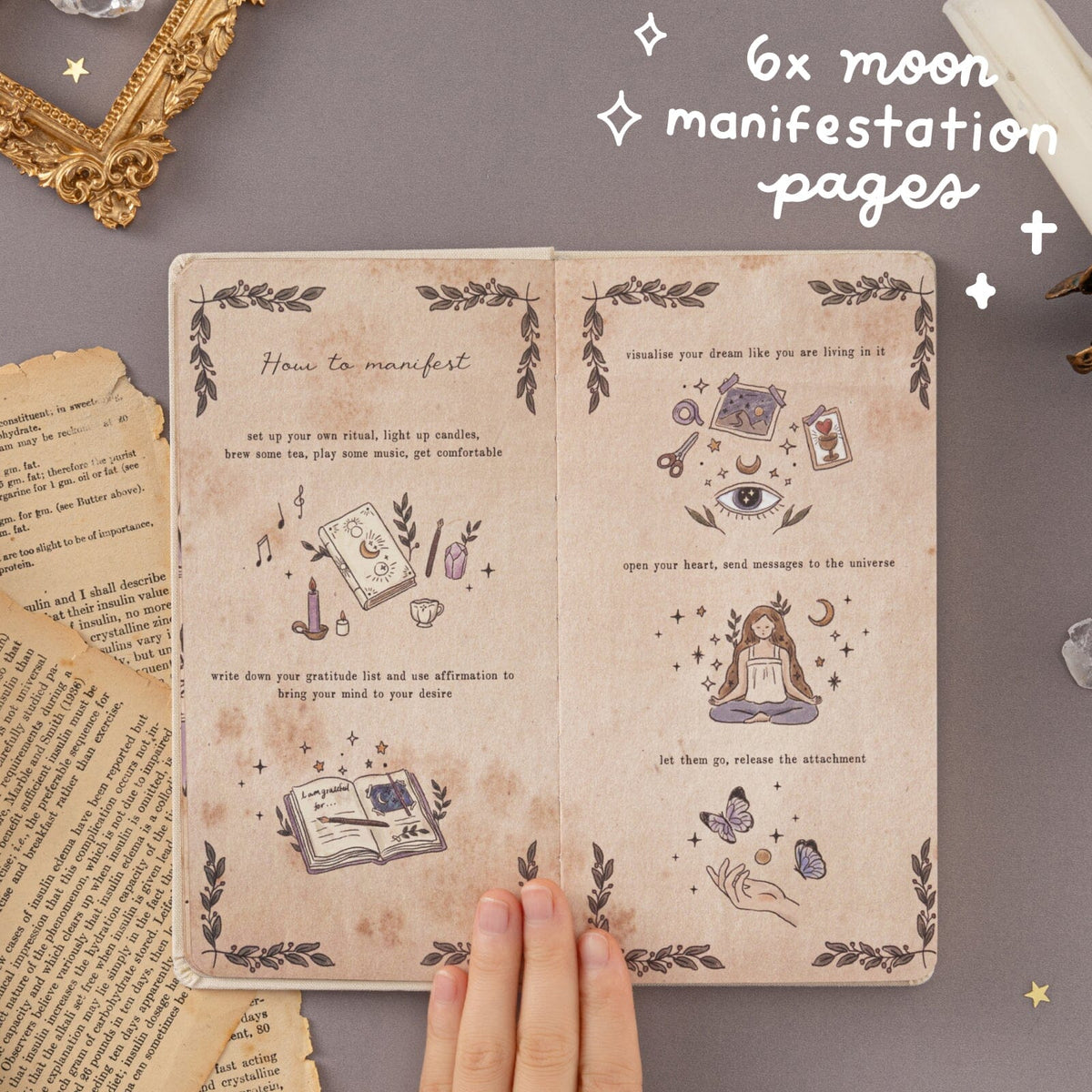 Tsuki ‘Le Soleil’ Collector's Edition Moon Planner Travel Notebook ☾